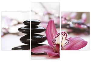 Slika kamenja za masažu i orhideje (90x60 cm)