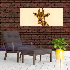 Slika žirafe (120x50 cm)