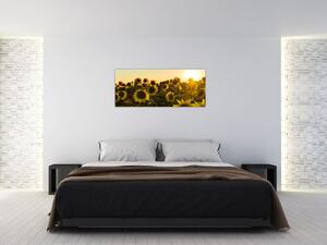 Slika polja suncokreta (120x50 cm)