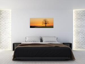 Slika zalaska sunca na livadi (120x50 cm)