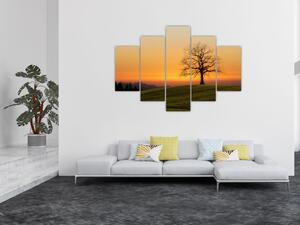 Slika zalaska sunca na livadi (150x105 cm)