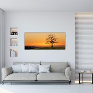 Slika zalaska sunca na livadi (120x50 cm)