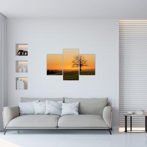 Slika zalaska sunca na livadi (90x60 cm)