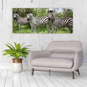 Slika sa zebrama (120x50 cm)