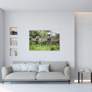 Slika sa zebrama (90x60 cm)