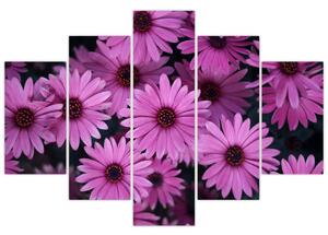 Slika ružičastog cvijeća (150x105 cm)