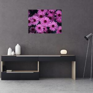 Slika ružičastog cvijeća (70x50 cm)