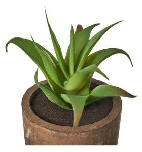 Umjetne biljke u setu 4 kom (visina 10 cm) Cactus – Casa Selección