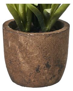 Umjetne biljke u setu 4 kom (visina 10 cm) Cactus – Casa Selección