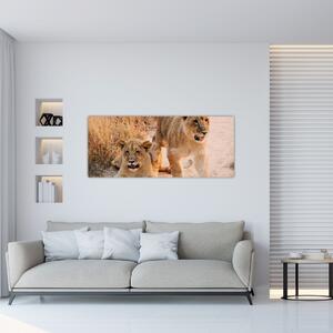 Slika mladunaca lavova (120x50 cm)