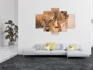 Slika mladunaca lavova (150x105 cm)
