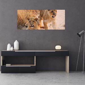 Slika mladunaca lavova (120x50 cm)