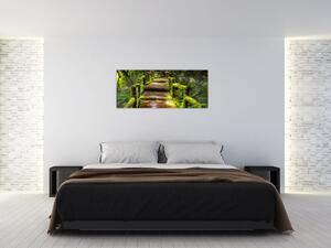 Slika stepenica u prašumi (120x50 cm)