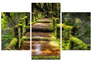 Slika stepenica u prašumi (90x60 cm)