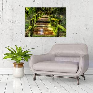 Slika stepenica u prašumi (70x50 cm)