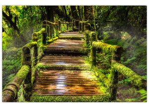 Slika stepenica u prašumi (90x60 cm)