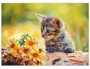 Slika mačića koji gleda cvijet (70x50 cm)