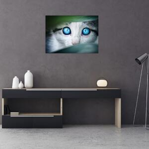 Slika mačke (70x50 cm)