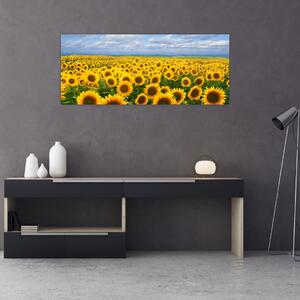 Slika polja suncokreta (120x50 cm)