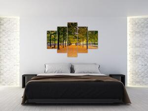 Slika aleje jesenskih stabala (150x105 cm)