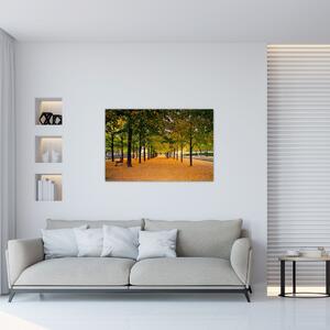 Slika aleje jesenskih stabala (90x60 cm)