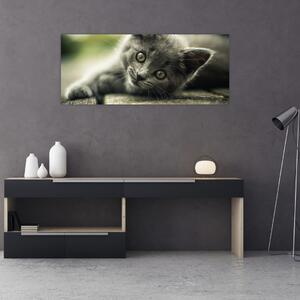 Slika mačića (120x50 cm)