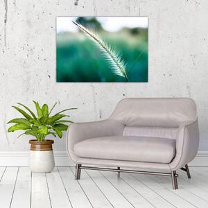Slika vlati trave (70x50 cm)