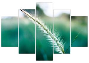 Slika vlati trave (150x105 cm)