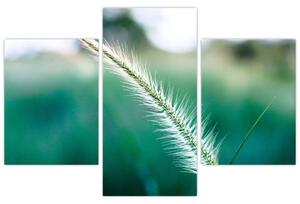 Slika vlati trave (90x60 cm)