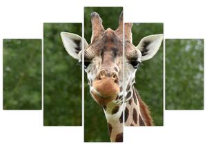Slika žirafe (150x105 cm)