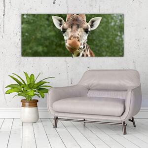 Slika žirafe (120x50 cm)