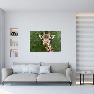 Slika žirafe (90x60 cm)