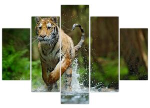 Slika tigra koji trči (150x105 cm)