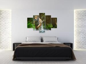 Slika tigra koji trči (150x105 cm)