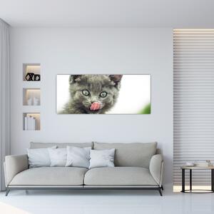 Slika mačića koji se liže (120x50 cm)