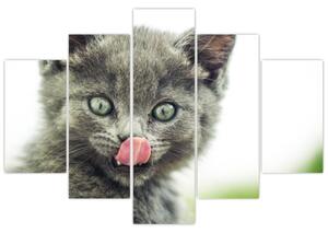 Slika mačića koji se liže (150x105 cm)