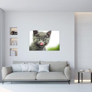 Slika mačića koji se liže (90x60 cm)