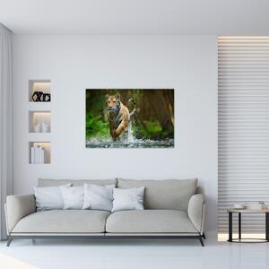 Slika tigra koji trči (90x60 cm)