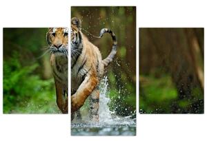 Slika tigra koji trči (90x60 cm)