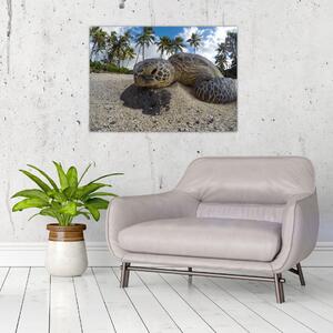 Slika kornjače (70x50 cm)