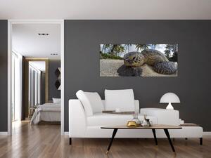 Slika kornjače (120x50 cm)
