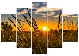 Slika polja pri zalasku sunca (150x105 cm)