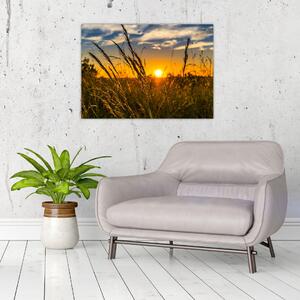Slika polja pri zalasku sunca (70x50 cm)