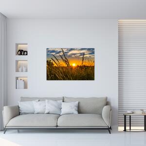 Slika polja pri zalasku sunca (90x60 cm)