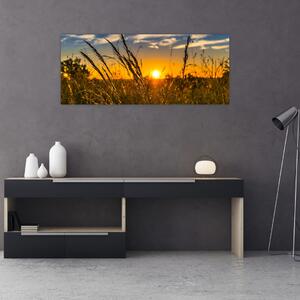 Slika polja pri zalasku sunca (120x50 cm)