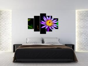 Slika cvijeta (150x105 cm)