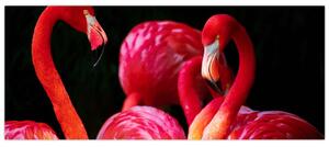 Slika crvenih flaminga (120x50 cm)