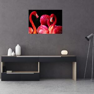 Slika crvenih flaminga (70x50 cm)