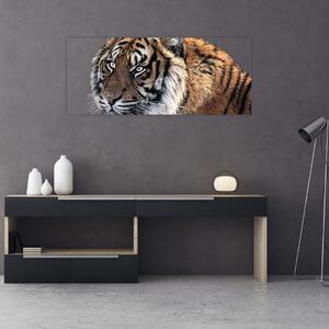 Slika tigra (120x50 cm)