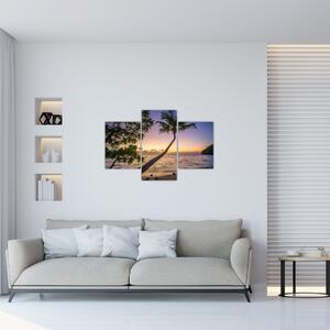 Slika palme na plaži (90x60 cm)